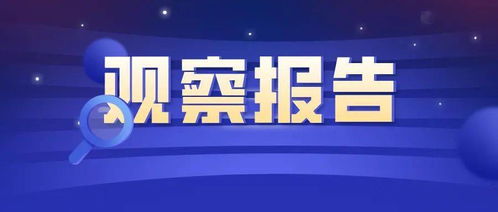 信息技術應用調研及對法律服務行業的影響觀察報告——聚焦信息技術咨詢服務
